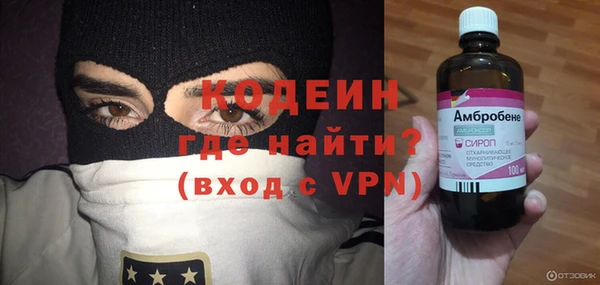 индика Балабаново