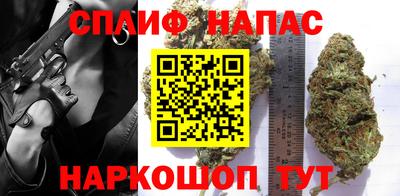 гашик Бийск