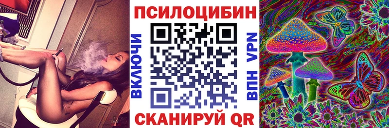 наркошоп  Большой Камень  Псилоцибиновые грибы Cubensis 