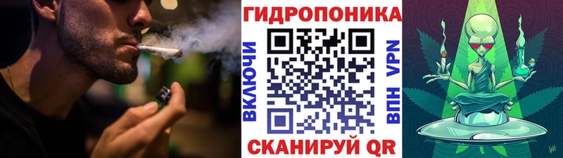 Бошки марихуана ГИДРОПОН  Большой Камень 